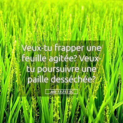 Picture 05 - Job 13:25 LSG - Veux-tu frapper une feuille agitée? Veux-tu - Bible Verse Picture