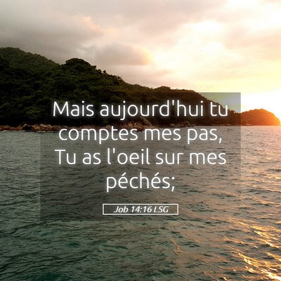 Picture 05 - Job 14:16 LSG - Mais aujourd'hui tu comptes mes pas, Tu as l'oeil - Bible Verse Picture