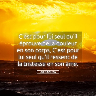 Picture 05 - Job 14:22 LSG - C'est pour lui seul qu'il éprouve de la douleur - Bible Verse Picture
