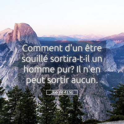 Picture 05 - Job 14:4 LSG - Comment d'un être souillé sortira-t-il un homme - Bible Verse Picture