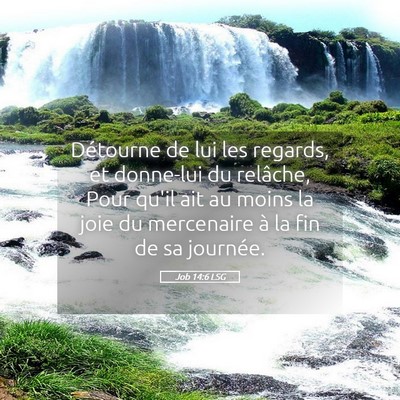 Picture 05 - Job 14:6 LSG - Détourne de lui les regards, et donne-lui du - Bible Verse Picture