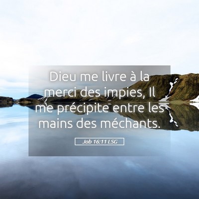Picture 05 - Job 16:11 LSG - Dieu me livre à la merci des impies, Il me - Bible Verse Picture