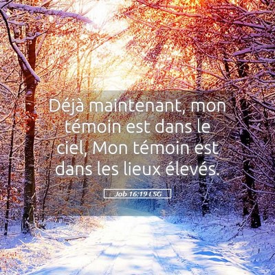 Picture 05 - Job 16:19 LSG - Déjà maintenant, mon témoin est dans le ciel, - Bible Verse Picture
