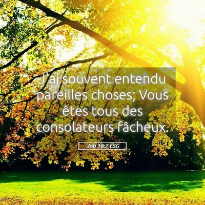 Picture 05 - Job 16:2 LSG - J'ai souvent entendu pareilles choses; Vous êtes - Bible Verse Picture