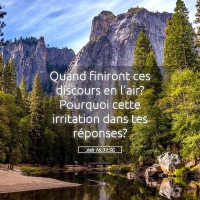 Picture 05 - Job 16:3 LSG - Quand finiront ces discours en l'air? Pourquoi - Bible Verse Picture