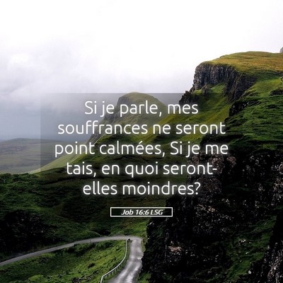 Picture 05 - Job 16:6 LSG - Si je parle, mes souffrances ne seront point - Bible Verse Picture