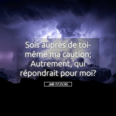 Picture 05 - Job 17:3 LSG - Sois auprès de toi-même ma caution; Autrement, - Bible Verse Picture