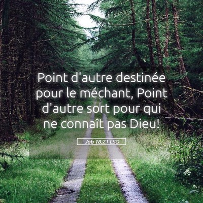 Picture 05 - Job 18:21 LSG - Point d'autre destinée pour le méchant, Point - Bible Verse Picture