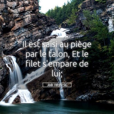Picture 05 - Job 18:9 LSG - Il est saisi au piège par le talon, Et le filet - Bible Verse Picture