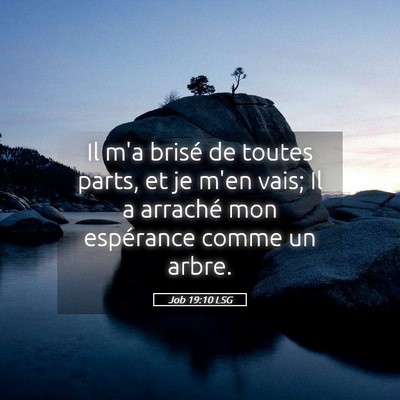 Picture 05 - Job 19:10 LSG - Il m'a brisé de toutes parts, et je m'en vais; - Bible Verse Picture