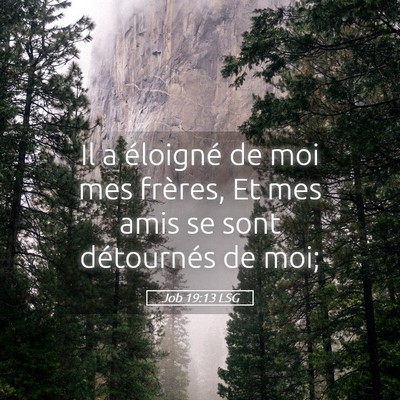 Picture 05 - Job 19:13 LSG - Il a éloigné de moi mes frères, Et mes amis se - Bible Verse Picture