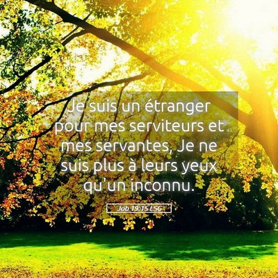 Picture 05 - Job 19:15 LSG - Je suis un étranger pour mes serviteurs et mes - Bible Verse Picture