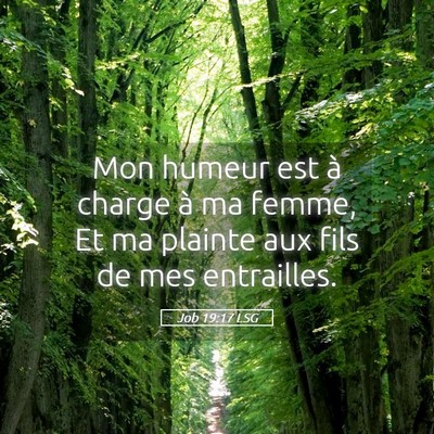 Picture 05 - Job 19:17 LSG - Mon humeur est à charge à ma femme, Et ma - Bible Verse Picture