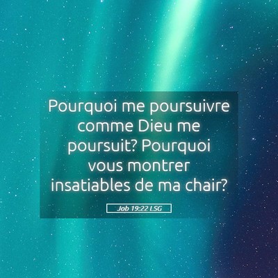 Picture 05 - Job 19:22 LSG - Pourquoi me poursuivre comme Dieu me poursuit? - Bible Verse Picture