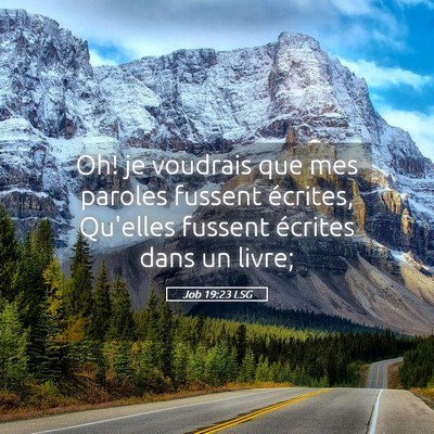 Picture 05 - Job 19:23 LSG - Oh! je voudrais que mes paroles fussent écrites, - Bible Verse Picture
