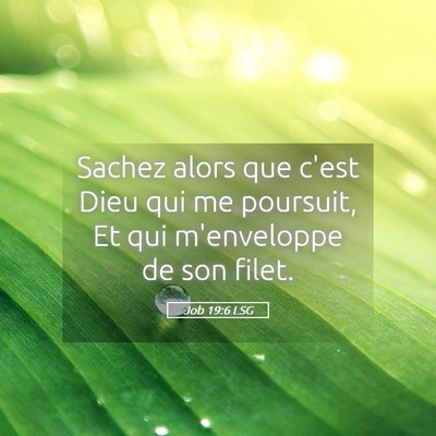 Picture 05 - Job 19:6 LSG - Sachez alors que c'est Dieu qui me poursuit, Et - Bible Verse Picture
