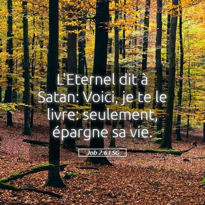 Picture 05 - Job 2:6 LSG - L'Eternel dit à Satan: Voici, je te le livre: - Bible Verse Picture