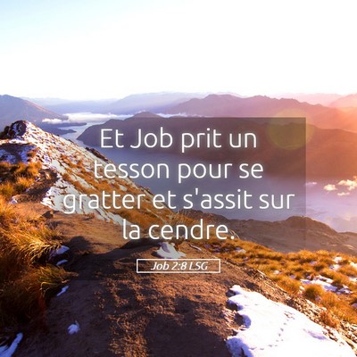 Picture 05 - Job 2:8 LSG - Et Job prit un tesson pour se gratter et s'assit - Bible Verse Picture