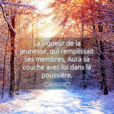 Picture 05 - Job 20:11 LSG - La vigueur de la jeunesse, qui remplissait ses - Bible Verse Picture