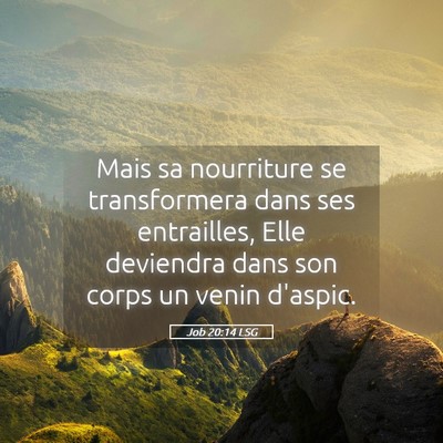 Picture 05 - Job 20:14 LSG - Mais sa nourriture se transformera dans ses - Bible Verse Picture