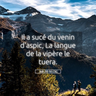 Picture 05 - Job 20:16 LSG - Il a sucé du venin d'aspic, La langue de la - Bible Verse Picture
