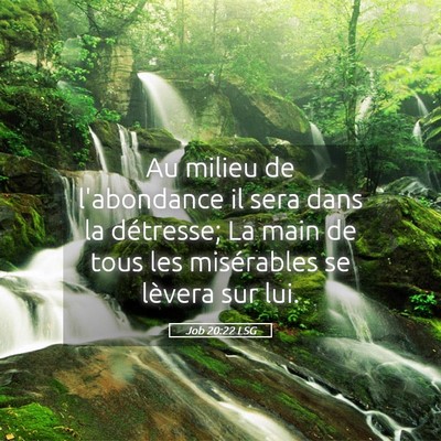 Picture 05 - Job 20:22 LSG - Au milieu de l'abondance il sera dans la - Bible Verse Picture