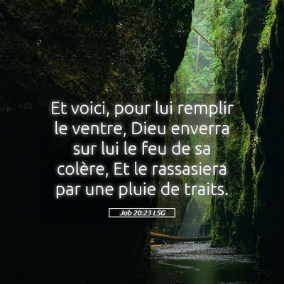 Picture 05 - Job 20:23 LSG - Et voici, pour lui remplir le ventre, Dieu - Bible Verse Picture