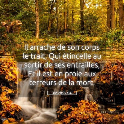 Picture 05 - Job 20:25 LSG - Il arrache de son corps le trait, Qui étincelle - Bible Verse Picture