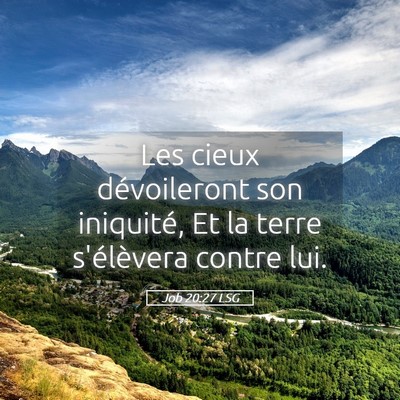 Picture 05 - Job 20:27 LSG - Les cieux dévoileront son iniquité, Et la terre - Bible Verse Picture
