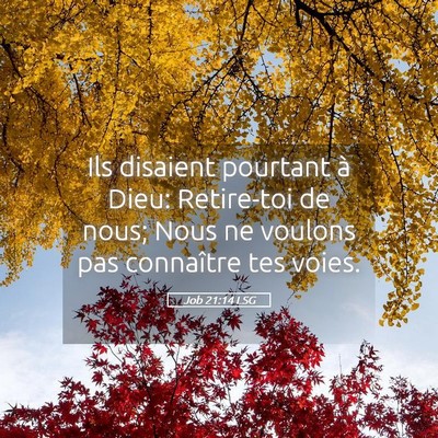 Picture 05 - Job 21:14 LSG - Ils disaient pourtant à Dieu: Retire-toi de - Bible Verse Picture
