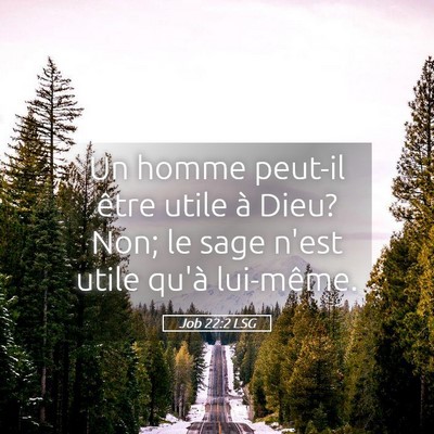 Picture 05 - Job 22:2 LSG - Un homme peut-il être utile à Dieu? Non; le - Bible Verse Picture