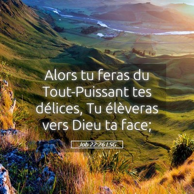 Picture 05 - Job 22:26 LSG - Alors tu feras du Tout-Puissant tes délices, Tu - Bible Verse Picture