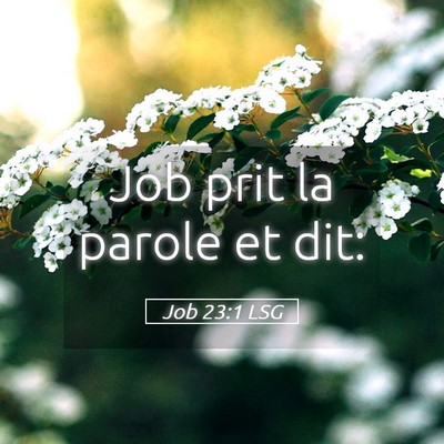 Picture 05 - Job 23:1 LSG - Job prit la parole et - Bible Verse Picture