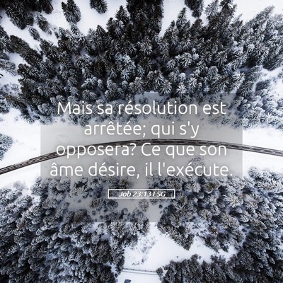 Picture 05 - Job 23:13 LSG - Mais sa résolution est arrêtée; qui s'y - Bible Verse Picture