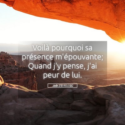 Picture 05 - Job 23:15 LSG - Voilà pourquoi sa présence m'épouvante; Quand - Bible Verse Picture
