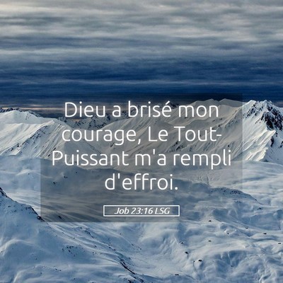 Picture 05 - Job 23:16 LSG - Dieu a brisé mon courage, Le Tout-Puissant m'a - Bible Verse Picture