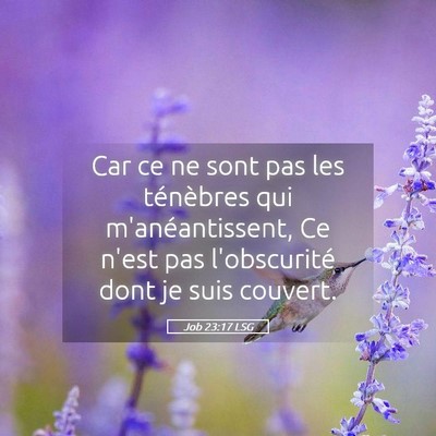 Picture 05 - Job 23:17 LSG - Car ce ne sont pas les ténèbres qui - Bible Verse Picture
