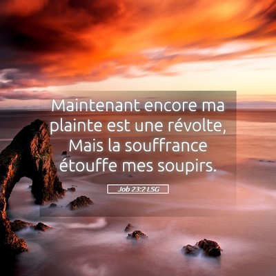Picture 05 - Job 23:2 LSG - Maintenant encore ma plainte est une révolte, - Bible Verse Picture