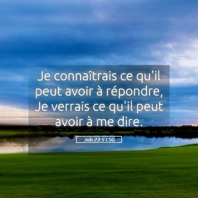 Picture 05 - Job 23:5 LSG - Je connaîtrais ce qu'il peut avoir à répondre, - Bible Verse Picture