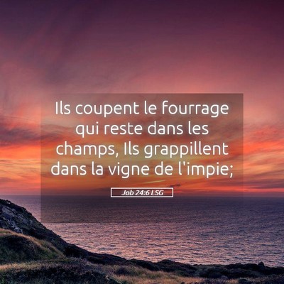 Picture 05 - Job 24:6 LSG - Ils coupent le fourrage qui reste dans les - Bible Verse Picture