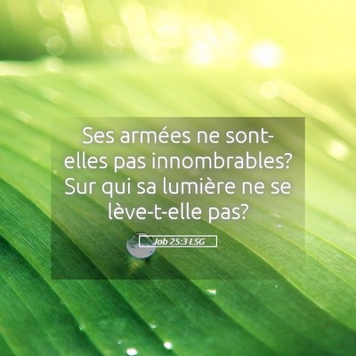 Picture 05 - Job 25:3 LSG - Ses armées ne sont-elles pas innombrables? Sur - Bible Verse Picture