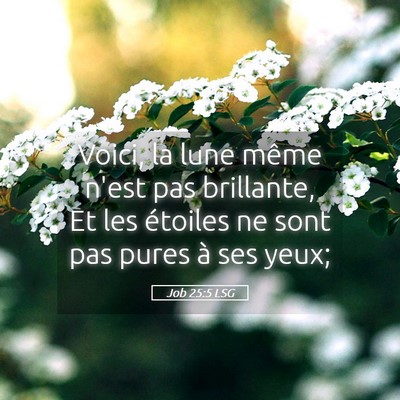Picture 05 - Job 25:5 LSG - Voici, la lune même n'est pas brillante, Et les - Bible Verse Picture