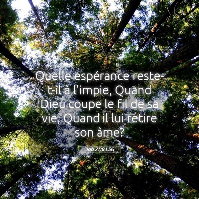 Picture 05 - Job 27:8 LSG - Quelle espérance reste-t-il à l'impie, Quand - Bible Verse Picture