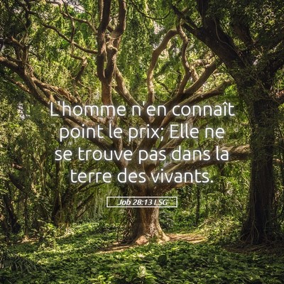 Picture 05 - Job 28:13 LSG - L'homme n'en connaît point le prix; Elle ne se - Bible Verse Picture