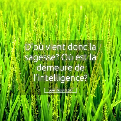 Picture 05 - Job 28:20 LSG - D'où vient donc la sagesse? Où est la demeure - Bible Verse Picture