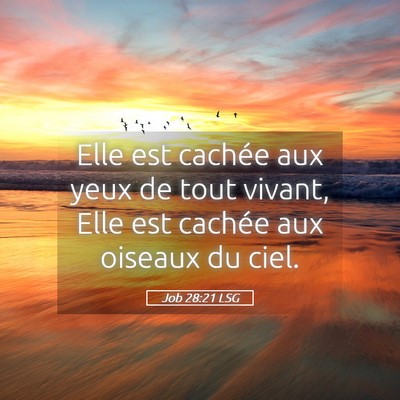 Picture 05 - Job 28:21 LSG - Elle est cachée aux yeux de tout vivant, Elle - Bible Verse Picture