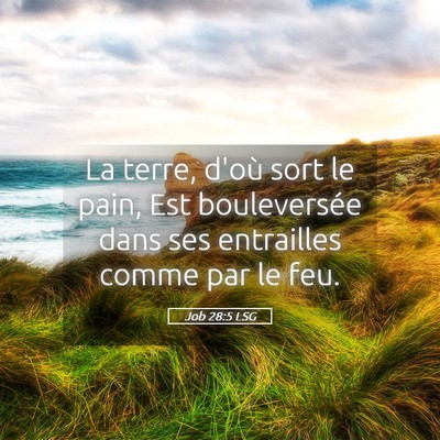 Picture 05 - Job 28:5 LSG - La terre, d'où sort le pain, Est bouleversée - Bible Verse Picture