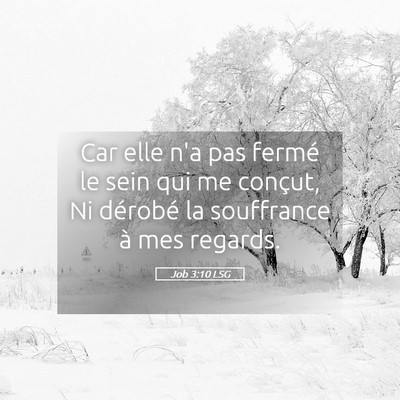 Picture 05 - Job 3:10 LSG - Car elle n'a pas fermé le sein qui me conçut, - Bible Verse Picture