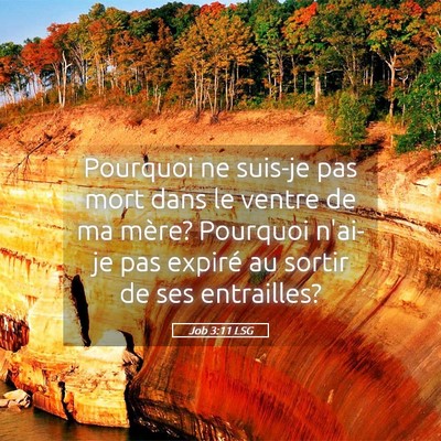 Picture 05 - Job 3:11 LSG - Pourquoi ne suis-je pas mort dans le ventre de ma - Bible Verse Picture