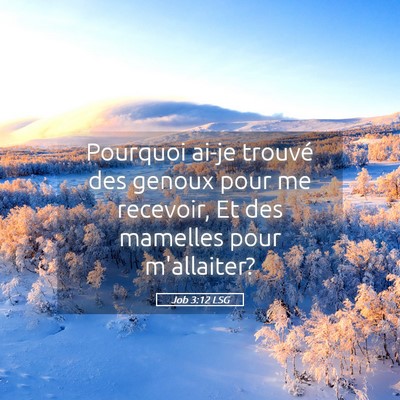 Picture 05 - Job 3:12 LSG - Pourquoi ai-je trouvé des genoux pour me - Bible Verse Picture